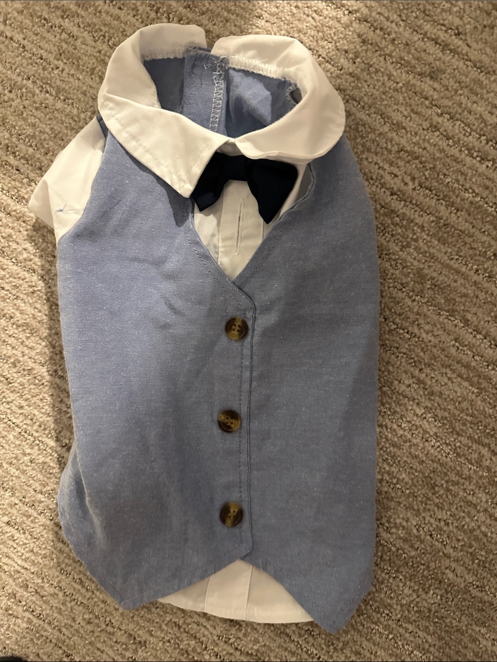 Dog Light Blue Vest with White Collar & Black Bow Tie